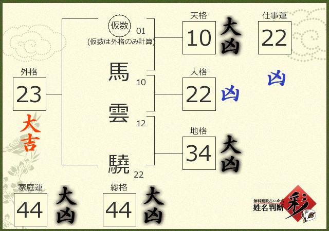 診断結果画像