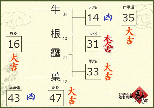 診断結果画像