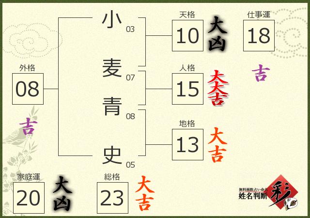 診断結果画像