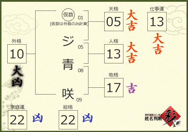 診断結果画像