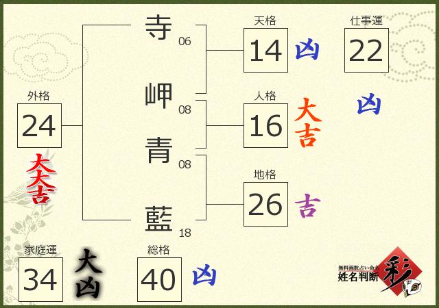 診断結果画像
