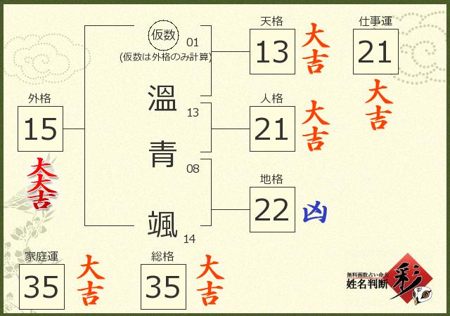 診断結果画像