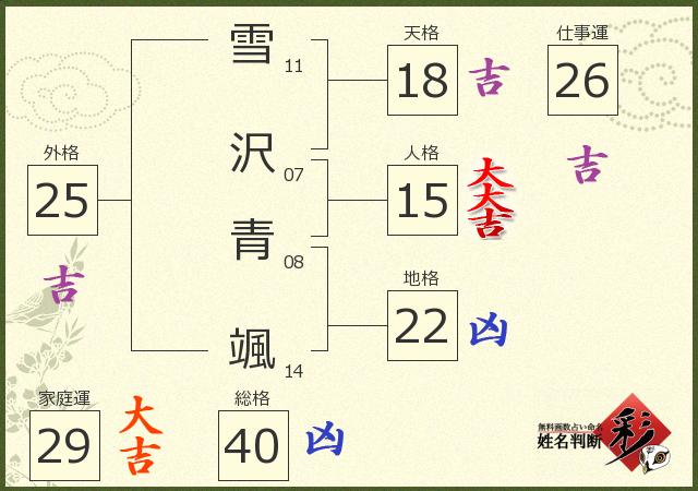 診断結果画像