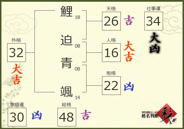 診断結果画像