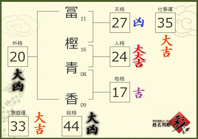 診断結果画像
