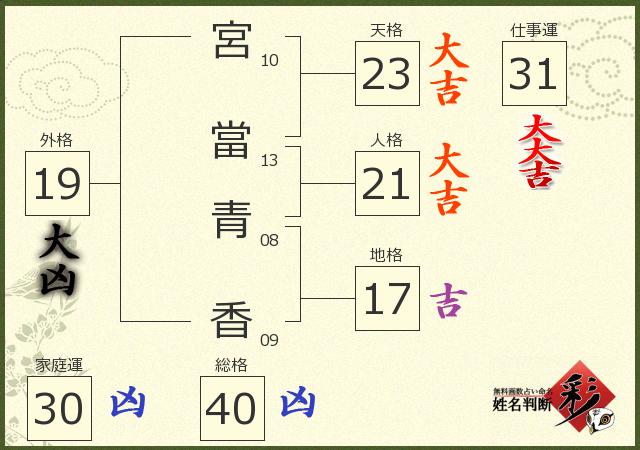 診断結果画像