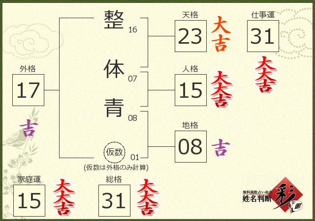 診断結果画像