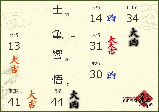 診断結果画像