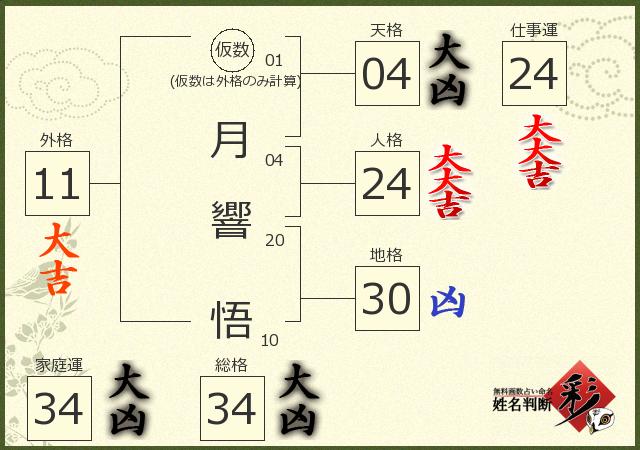 診断結果画像