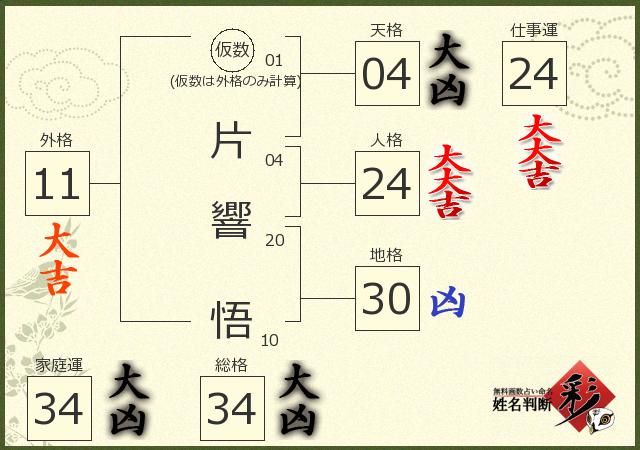 診断結果画像