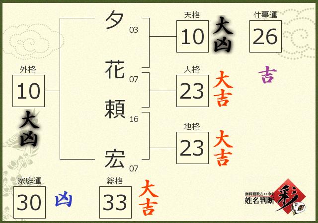 診断結果画像