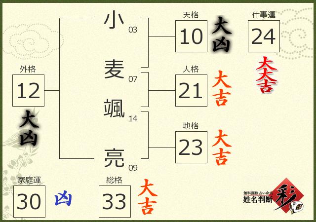 診断結果画像
