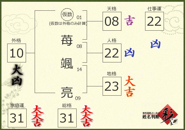 診断結果画像