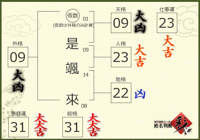 診断結果画像