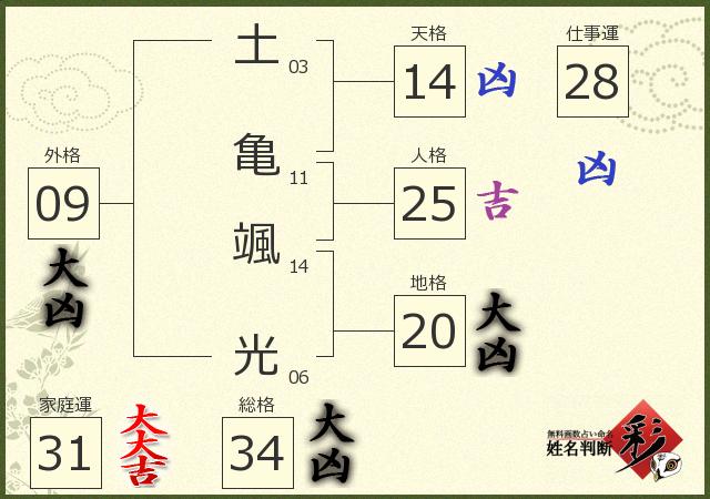 診断結果画像