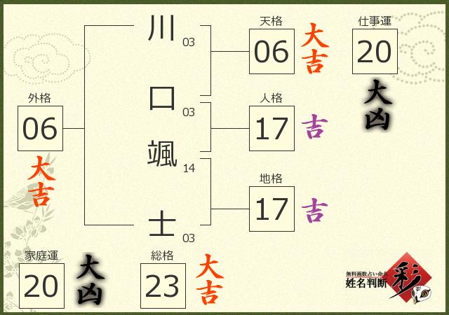 診断結果画像