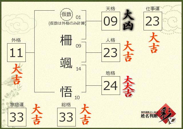 診断結果画像