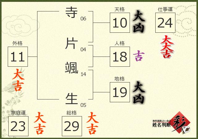 診断結果画像