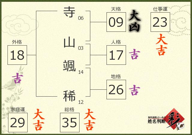 診断結果画像
