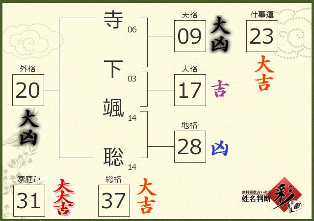 診断結果画像