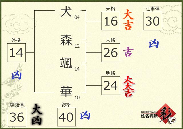診断結果画像