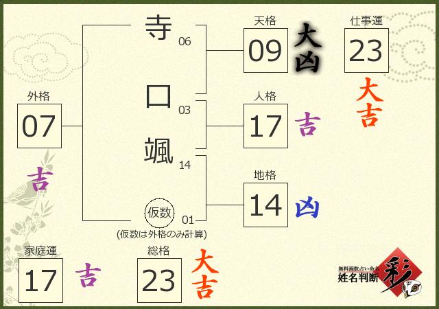 診断結果画像