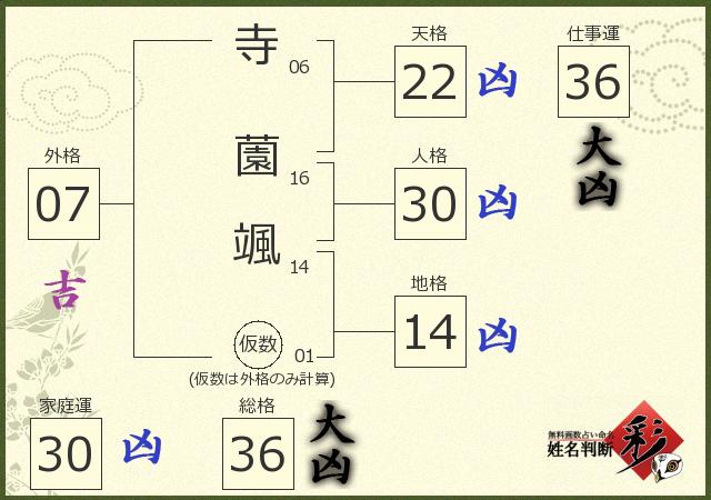 診断結果画像