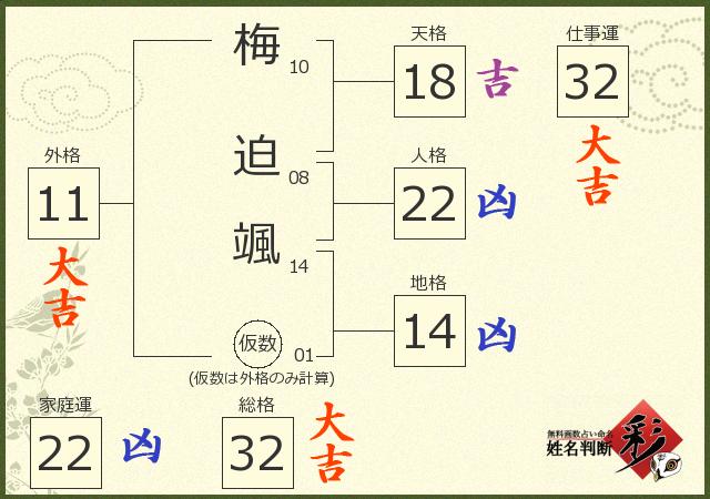 診断結果画像