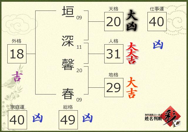 診断結果画像
