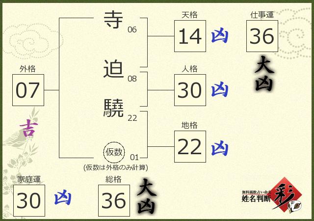 診断結果画像