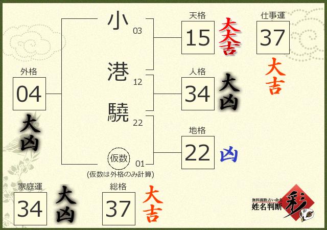 診断結果画像