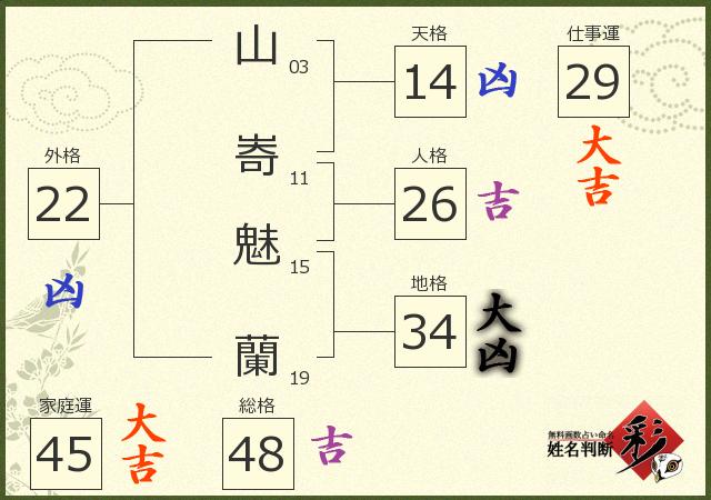 診断結果画像