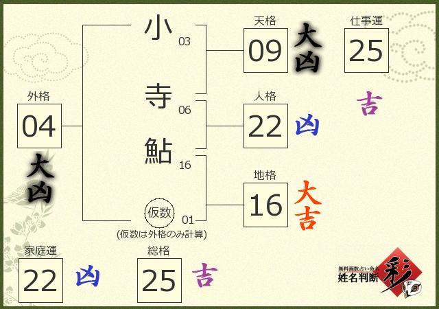 診断結果画像