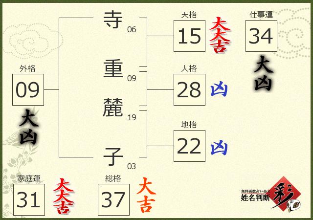 診断結果画像