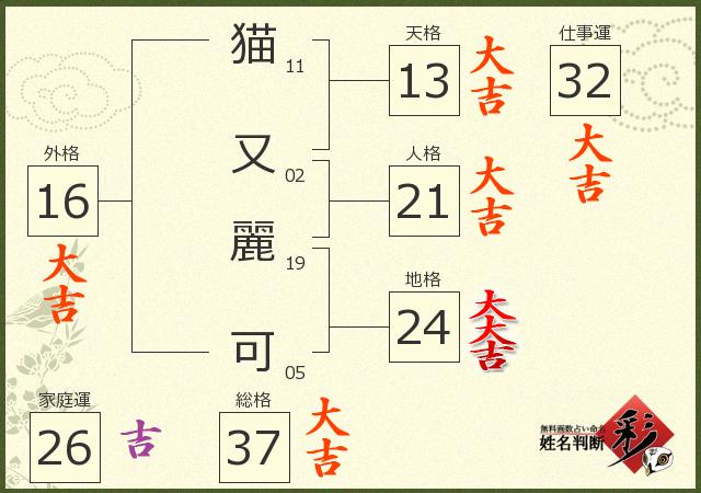 診断結果画像