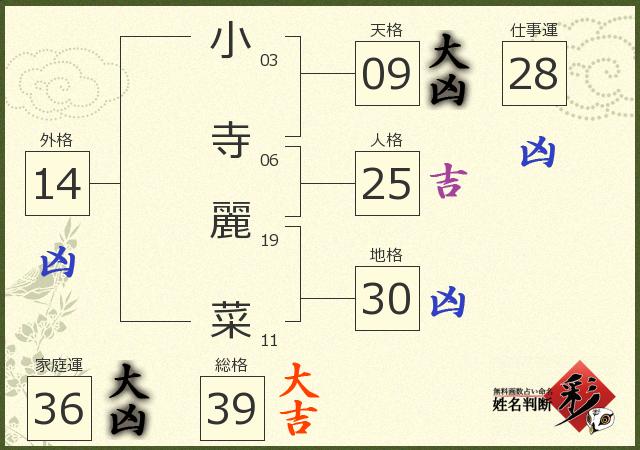診断結果画像