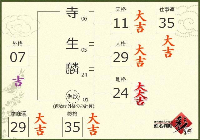 診断結果画像