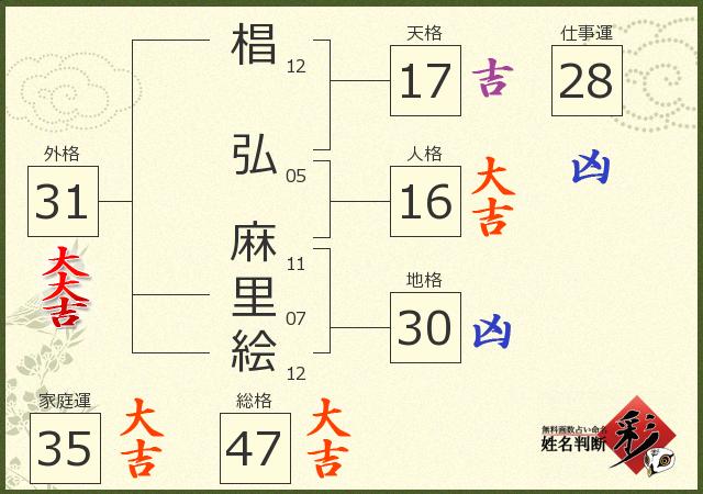 診断結果画像