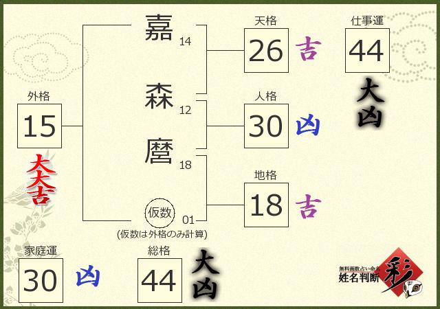 診断結果画像